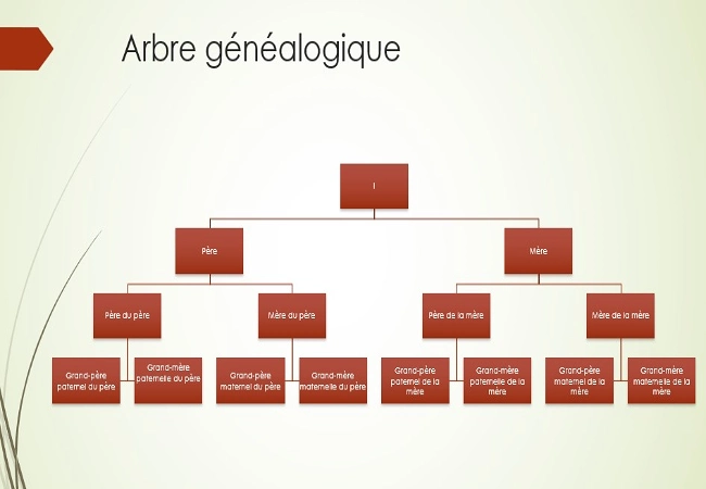arbre genealogique descendant powerpoint