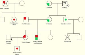 Genogramme | Informations, modèles et comment faire