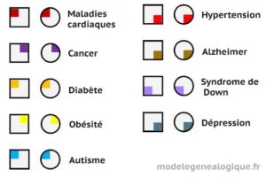 Symboles du génogramme | Formes et significations [exemples]