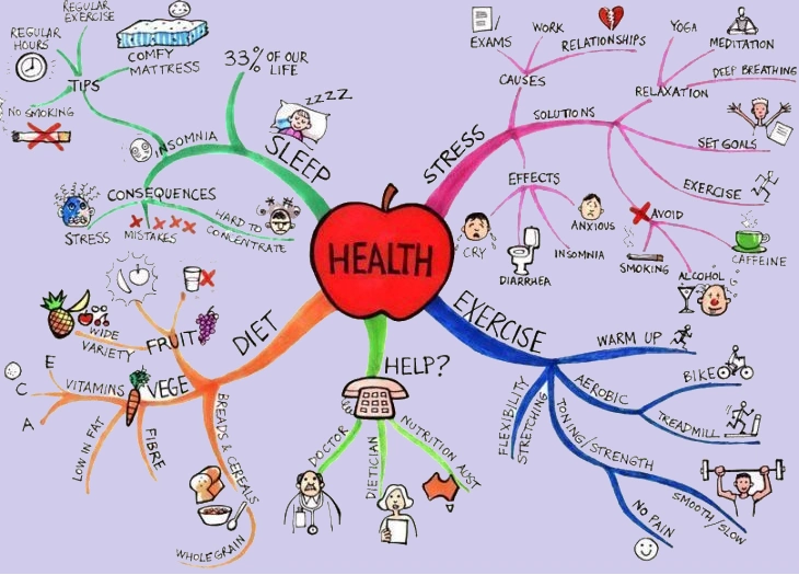 carte conceptuelle santé