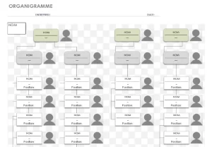 modele organigramme excel