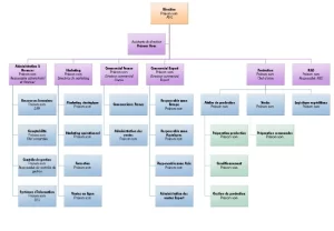 Modèle d'organigramme excel 3