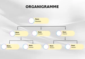 Modèle d'organigramme vierge à remplir 6