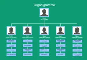 Modèle d'organigramme word 1
