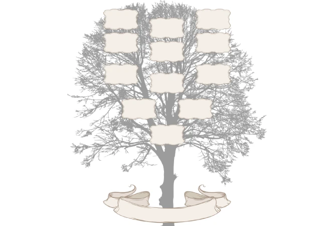 modèle arbre généalogique vierge gratuit