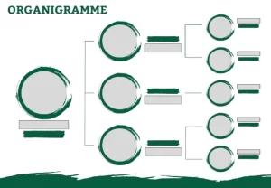 modele organigramme entreprise