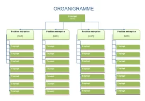 organigramme excel modele